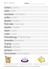 DSS_2S_Bu_er_Nr_04.pdf